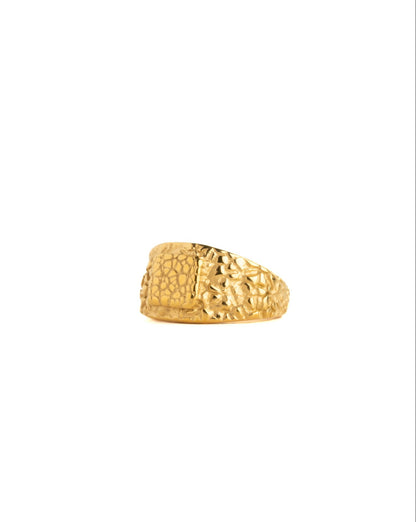 BB Nugget Ring