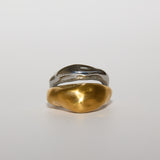 Ring 002