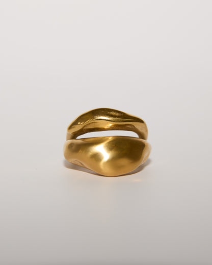 Ring 002